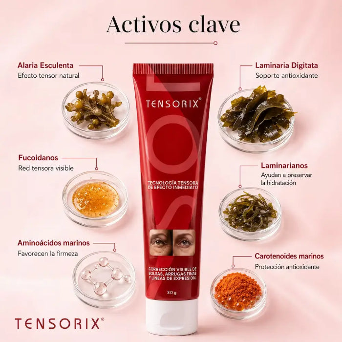 Tensorix Ojeras, Bolsas y Líneas